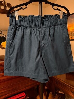 Indigo Thread Co. Elastic Waist Blue Shorts